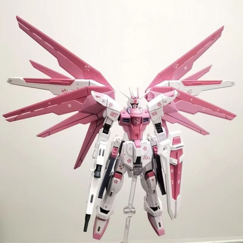 JMS HG 1/144 ZY-06 Freedom Ass - Bandai Model Gundam Hg avis et prix
